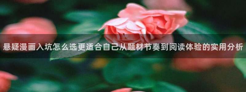 梦漫漫画阅读指南