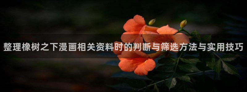 梦漫漫画热血漫画