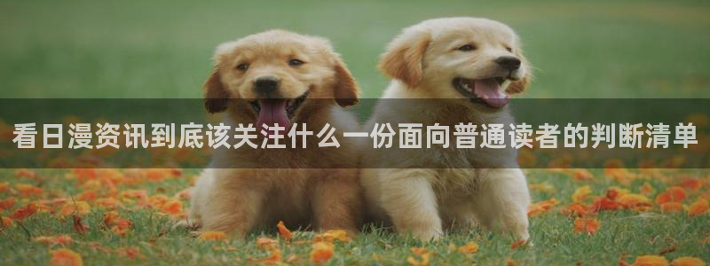 梦漫漫画人气漫画：看日漫资讯到底该关注什么一份面向普通读者的判断清单