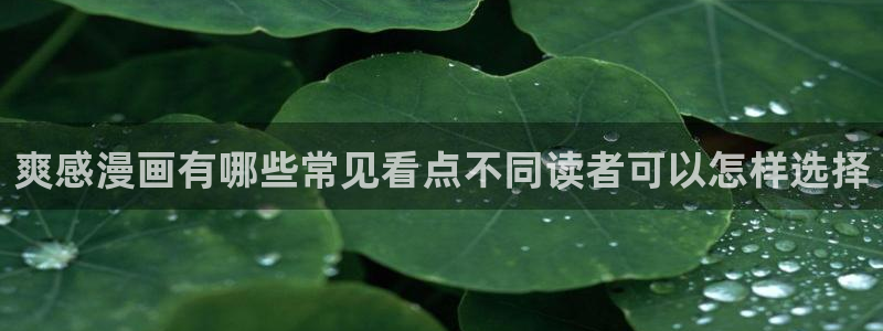 梦漫漫画穿越漫画：爽感漫画有哪些常见看点不同读者可以怎样选择